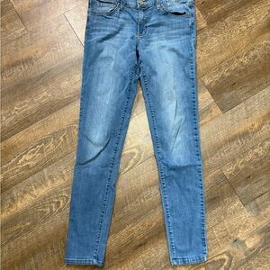 Flying Monkey Blue Skinny Jeans